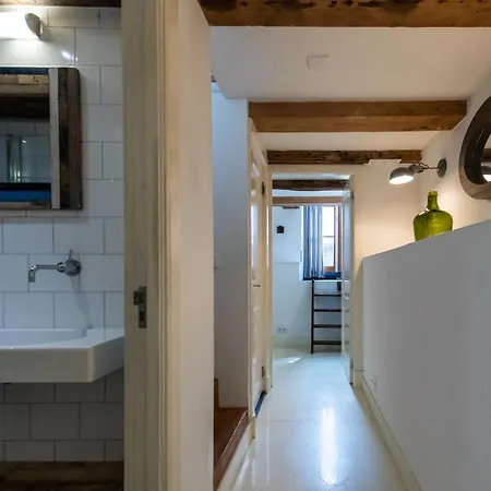 Amazing Jordaan Mansion 公寓 阿姆斯特丹